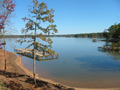 rental home lake ocnee